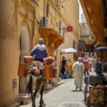 tours from fes